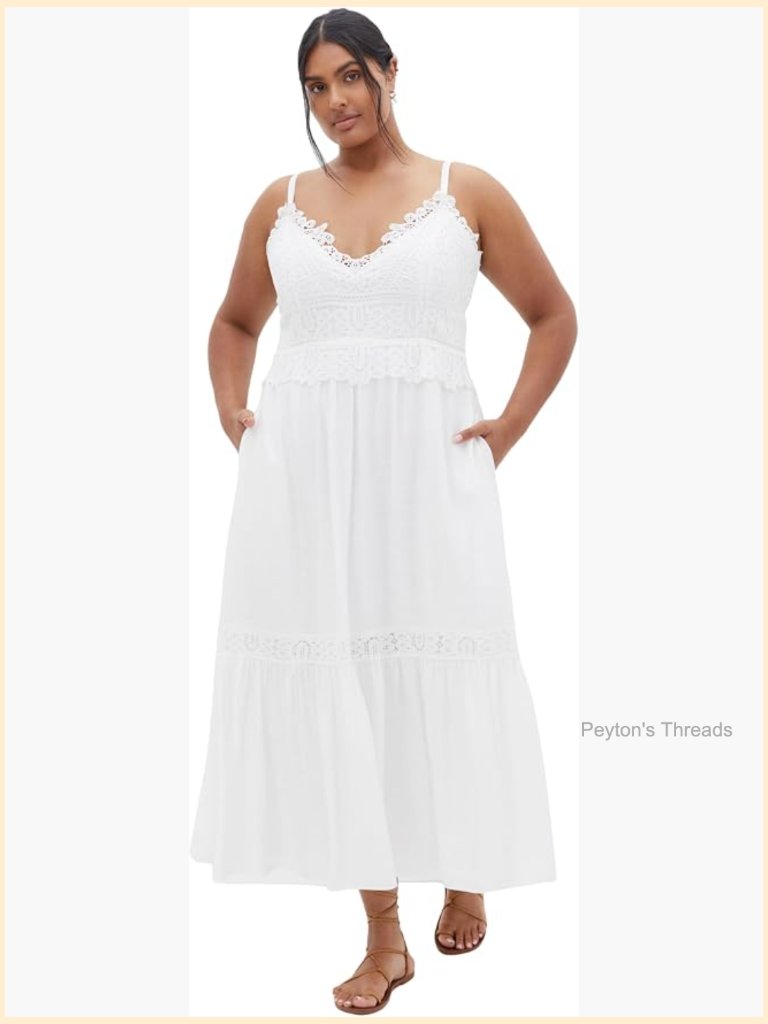 Plus Size Maxi Dress With Lace Embroidery V-Neck Sleeveless A-Line